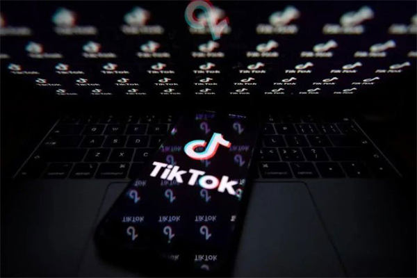 如何在抖音国际版TikTok赚钱