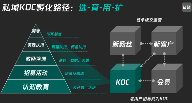 私域KOC体系是什么？爆改全域运营思路