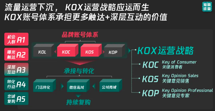 KOS与KOC高频运营实战问题汇总